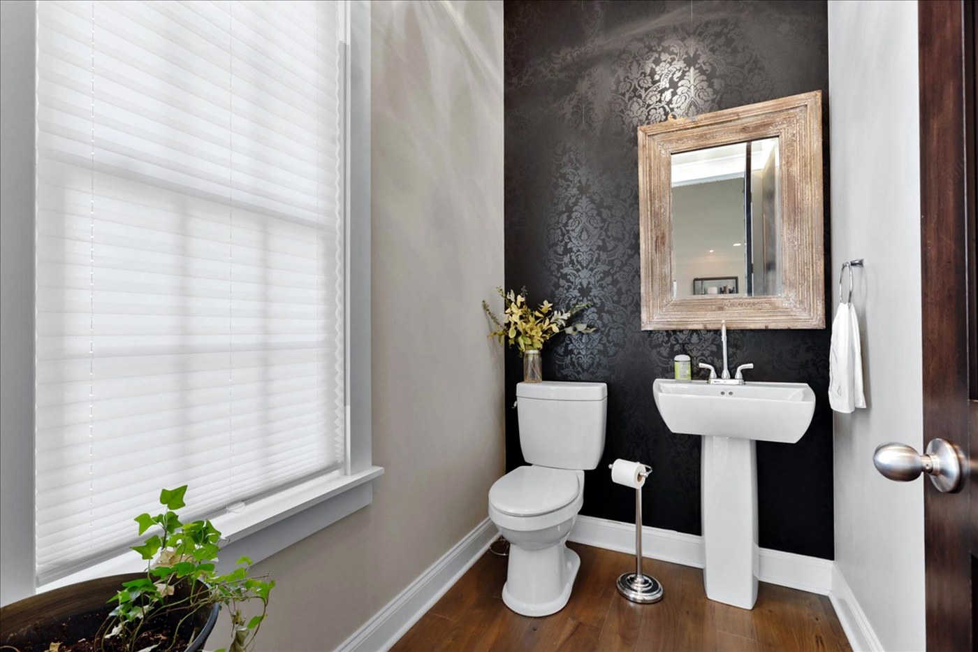 Longwood powder room with dramatic accent wall